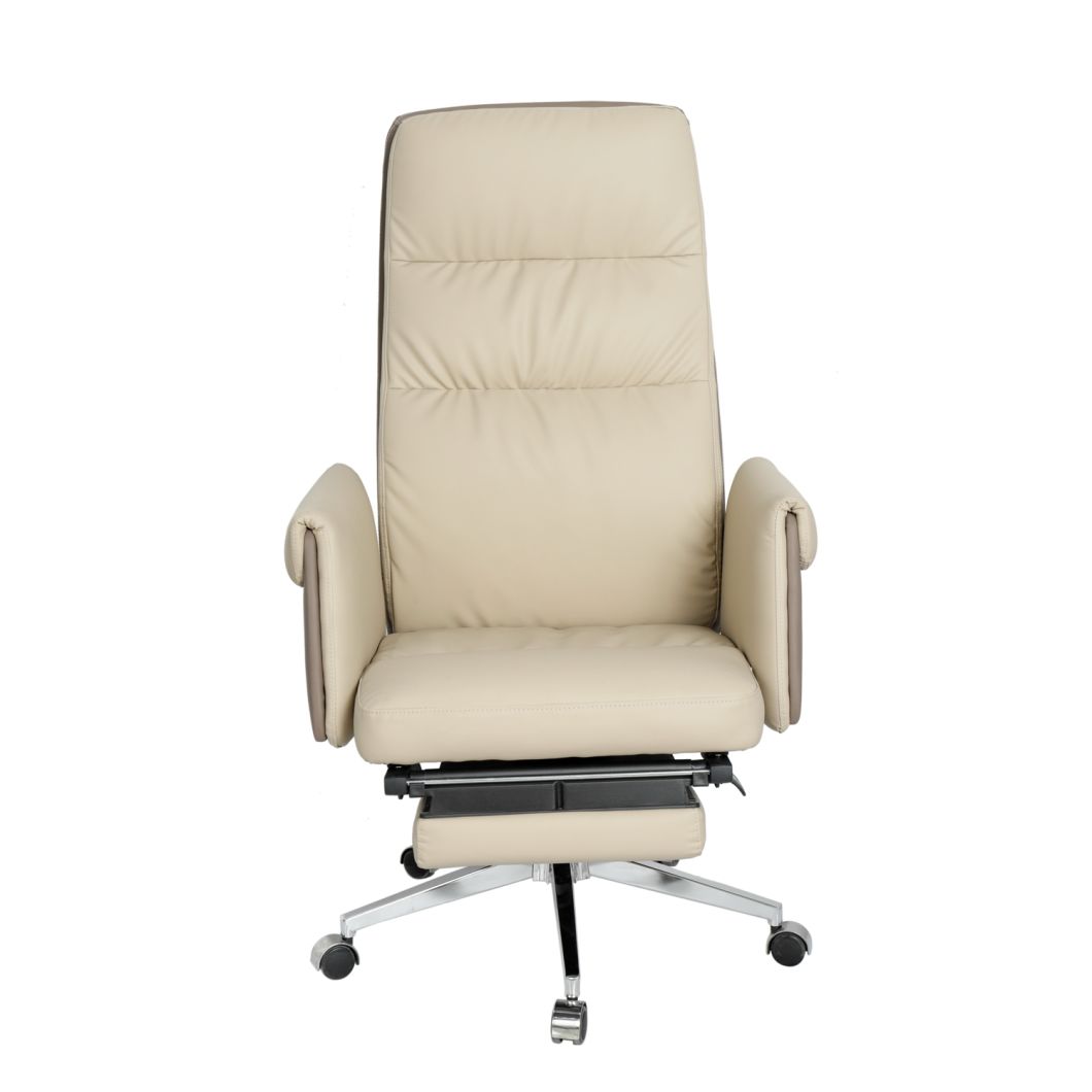 Executive Ergonomic Home Office Chair with Lumbar Support and Padded Arms