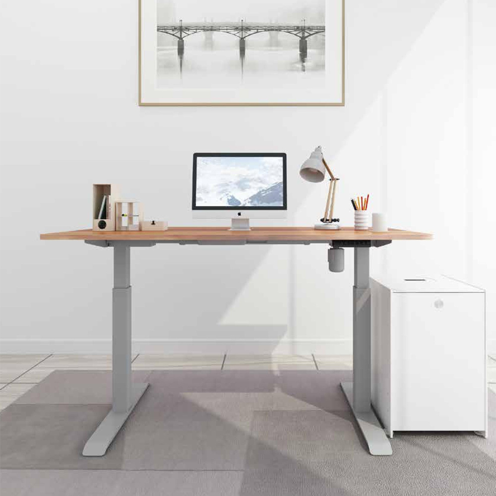 Popular Intelligent Height Adjustable Desk High Quality Grey Modern Electric Lift Desk