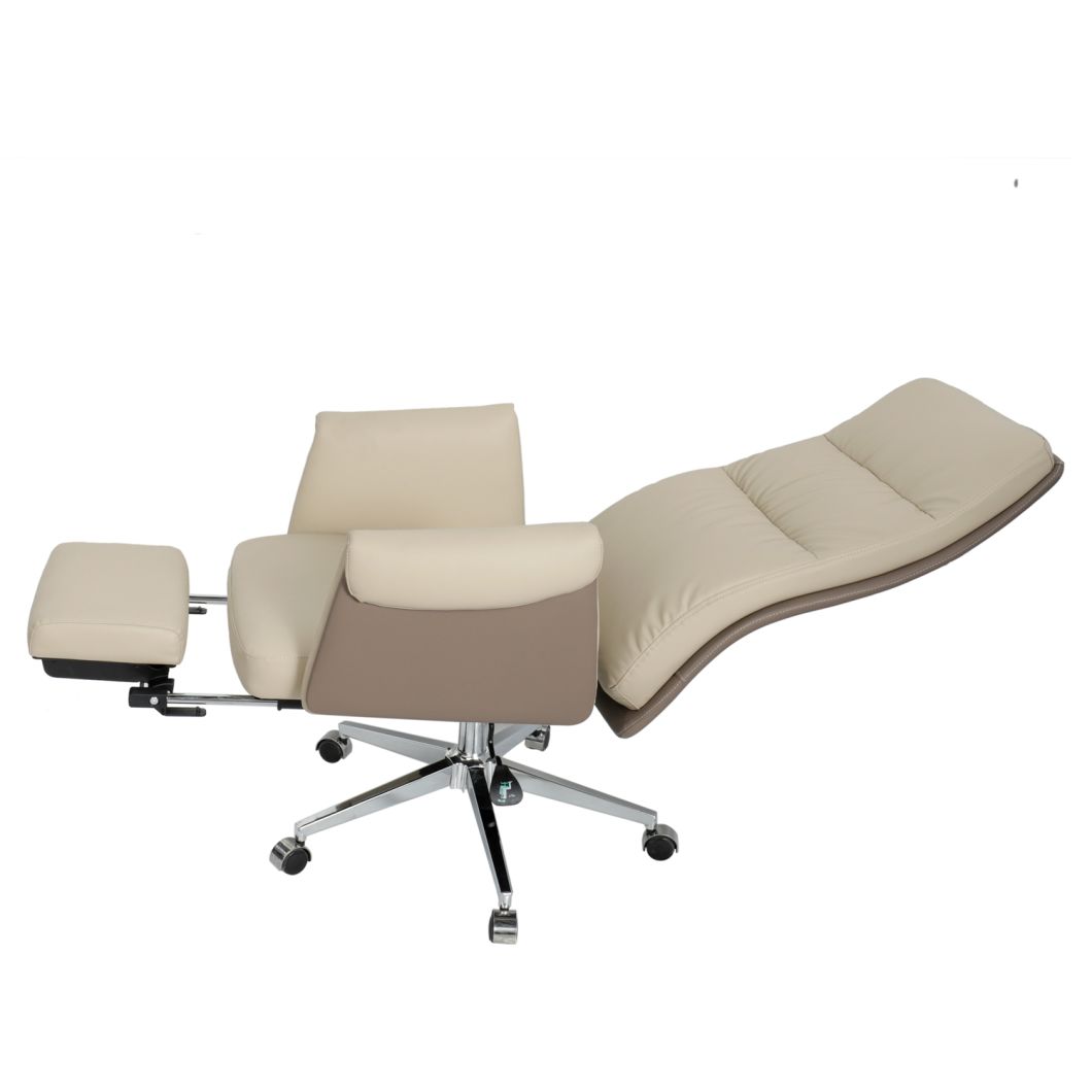 Executive Ergonomic Home Office Chair with Lumbar Support and Padded Arms